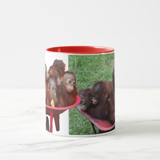 Wielbarrow Orangutans Mok (Midden)