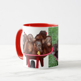 Wielbarrow Orangutans Mok