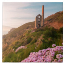 Wielcoaten in mijn, met roze bloemen, Cornwall