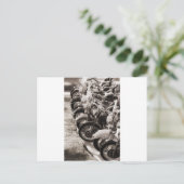 Wielen Briefkaart (Staand voorkant)