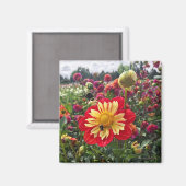 Wielen Dahlia Magneet (Voorkant / Achterkant)