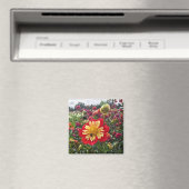Wielen Dahlia Magneet (Insitu (Vaatwasser))