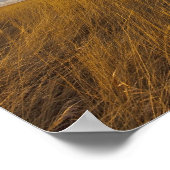 Wielgras en drama's van het meer van Freezeout Poster (Hoek)