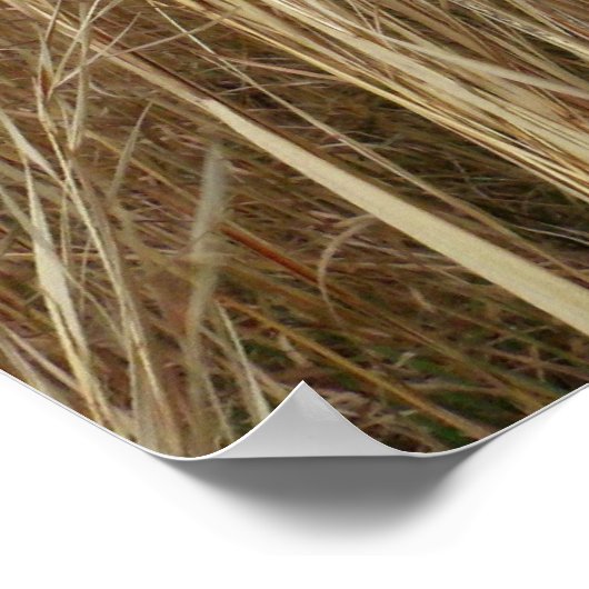 Wielgras Poster (Hoek)