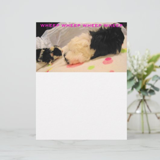 Wielkop (Staand voorkant)