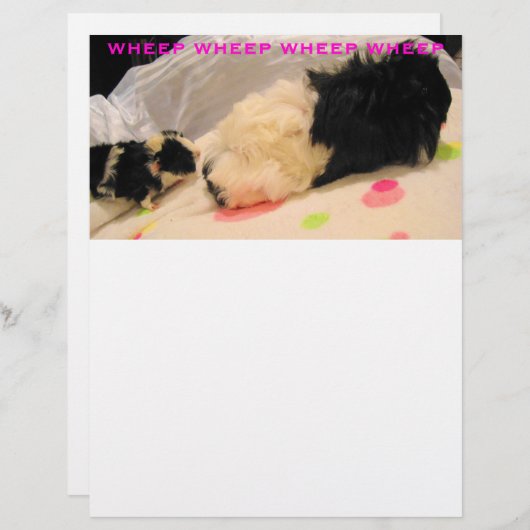 Wielkop (Voorkant / Achterkant)