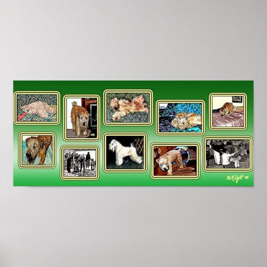 wielmomenten poster (Voorkant)
