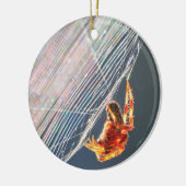 Wielspin op Web Keramisch Ornament (Links)