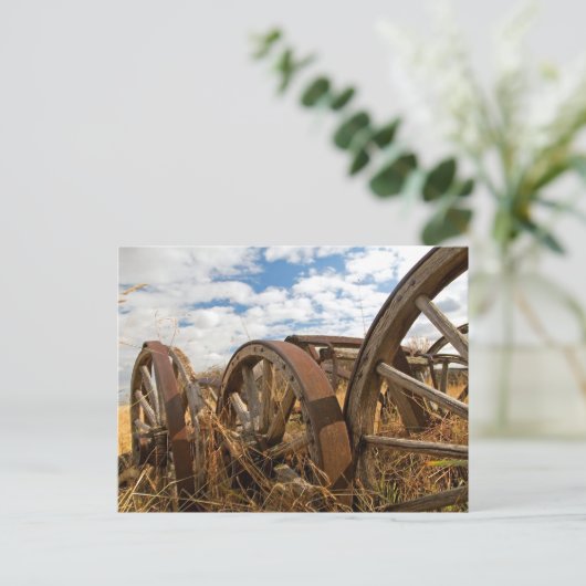  wieltjes briefkaart (Staand voorkant)