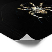 Wielwebspin Poster (Hoek)