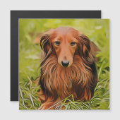 Wiener Brown Dachshund over gras in de tuin (Voorkant / Achterkant)