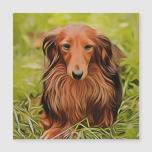 Wiener Brown Dachshund over gras in de tuin (Voorkant)