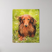 Wiener Brown Dachshund over gras in de tuin Canvas Afdruk (Voorkant)