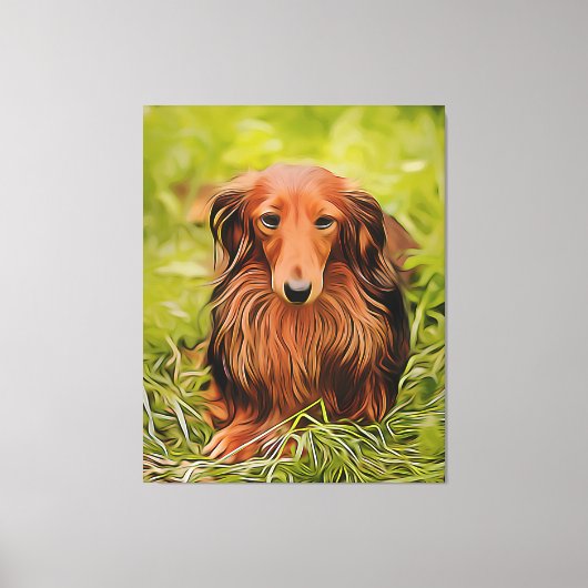 Wiener Brown Dachshund over gras in de tuin Canvas Afdruk (Voorkant)