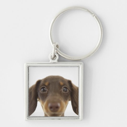 Wiener Dog (bruin) 2 Sleutelhanger (Voorkant)