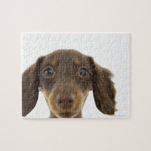 Wiener Dog (bruin) Legpuzzel (Horizontaal)