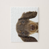 Wiener Dog (bruin) Legpuzzel (Verticaal)