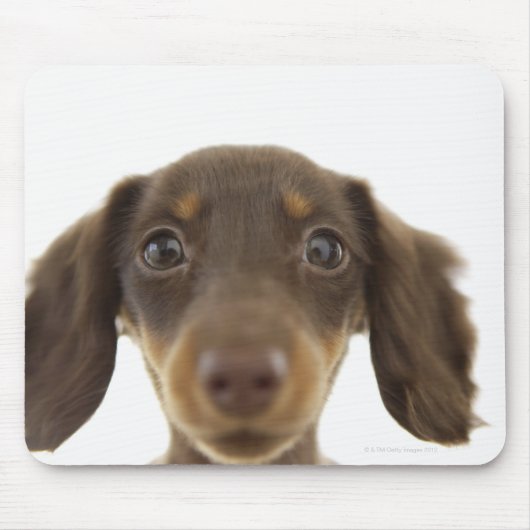 Wiener Dog (bruin) Muismat (Voorkant)