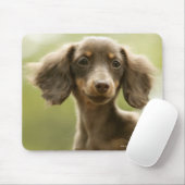 Wiener Dog (bruin) Muismat (Met muis)