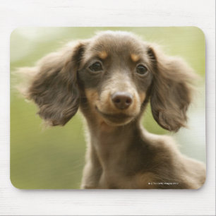 Wiener Dog (bruin) Muismat