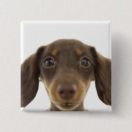 Wiener Dog (bruin) Vierkante Button 5,1 Cm