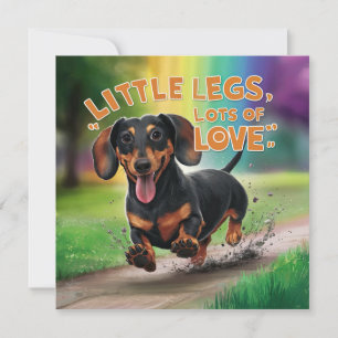 Wiener Dog Kleine Poten Veel Liefde