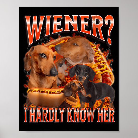 Wiener I Hardly Know Her Funny Offensive Dachshund Poster (Voorkant)