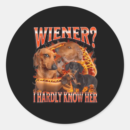 Wiener I Hardly Know Her Funny Offensive Dachshund Ronde Sticker (Voorkant)