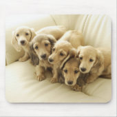 Wiener-puppies Muismat (Voorkant)