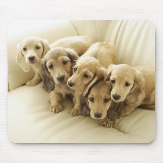 Wiener-puppies Muismat (Voorkant)