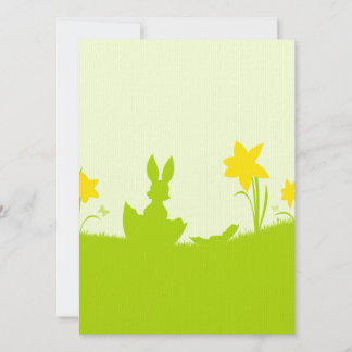 Wiese Osterhase Narzissen