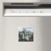 Wiesman Kunstmuseum Magneet (Insitu (Vaatwasser))