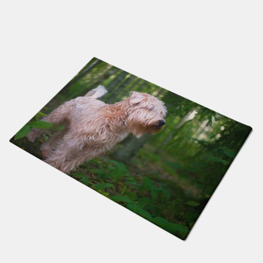 Wiet Terrier. Deurmat (Schuin)