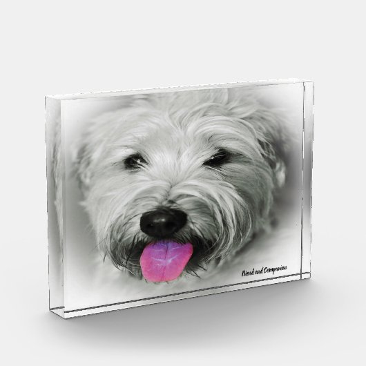 Wiet Terrier Dog. Fotoblokken (Links)