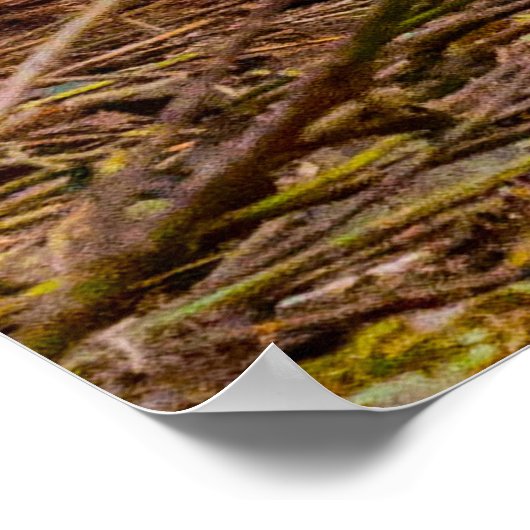 Wiet Terrier Dog. Poster (Hoek)