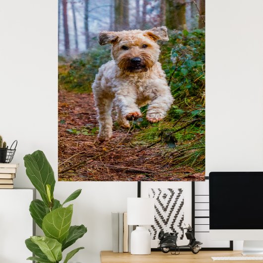 Wiet Terrier Dog. Poster (Thuiskantoor)