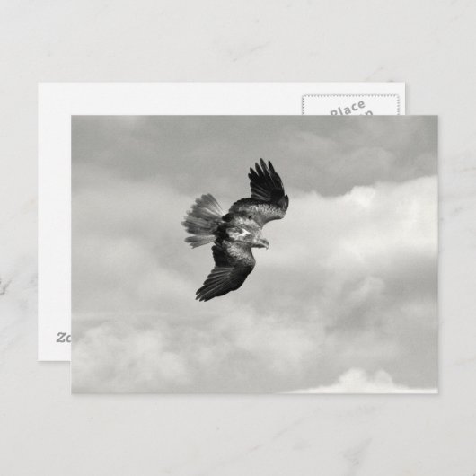 wig briefkaart (Voorkant / Achterkant)