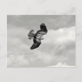 wig briefkaart (Voorkant)