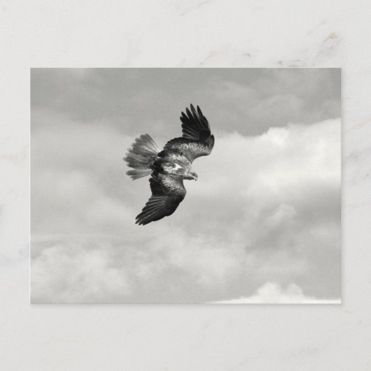 wig briefkaart (Voorkant)