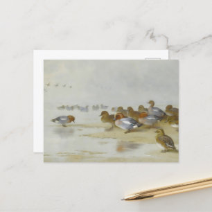 Wigeon en Blauwgroen door de waterkant, Art Briefkaart