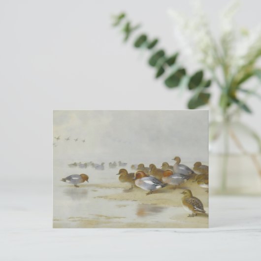 Wigeon en Blauwgroen door de waterkant, Art Briefkaart (Staand voorkant)