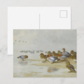 Wigeon en Blauwgroen door de waterkant, Art Briefkaart (Voorkant / Achterkant)