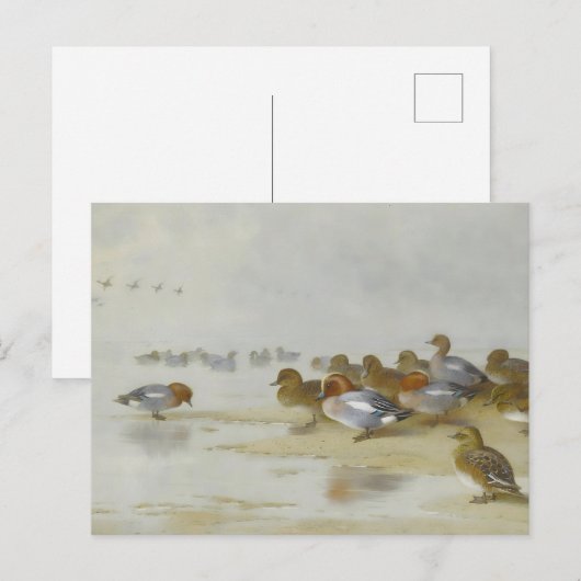 Wigeon en Blauwgroen door de waterkant, Art Briefkaart (Voorkant / Achterkant)
