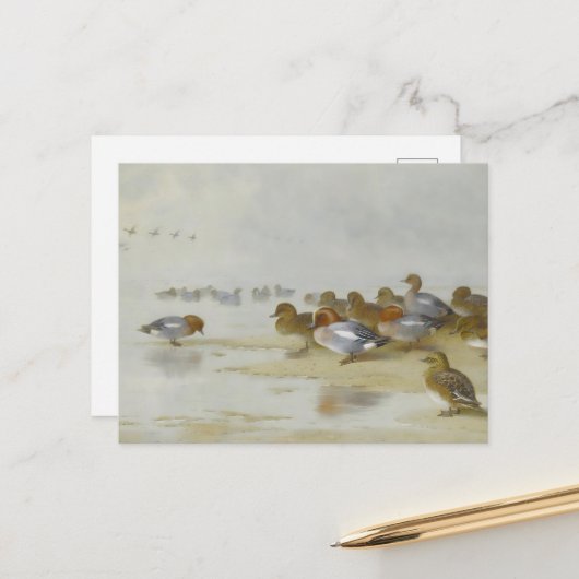 Wigeon en Blauwgroen door de waterkant, Art Briefkaart (Voorkant / Achterkant in situ)