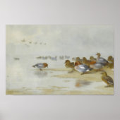 Wigeon en Blauwgroen door de waterkant, Art Poster (Voorkant)