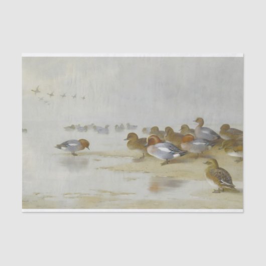 Wigeon en Blauwgroen door de waterkant, Art Tissuepapier (Voorkant)