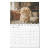 Wigged out Cat Kalender (Mar 2027)