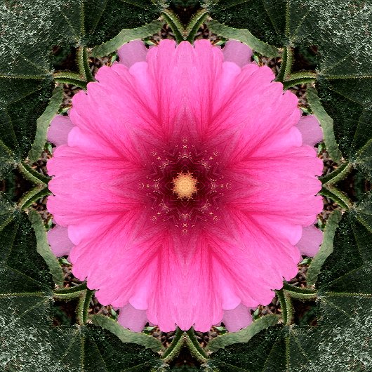 Wigglin'..... Notitieboek