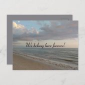 Wij behoren hier het voor altijd Leuke Afbeelding Briefkaart (Voorkant / Achterkant)