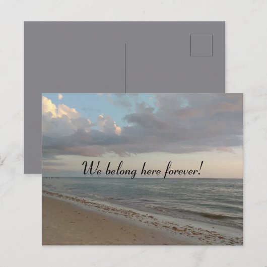 Wij behoren hier het voor altijd Leuke Afbeelding Briefkaart (Voorkant / Achterkant)